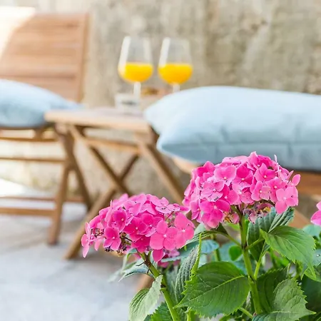Apartman Borgo *